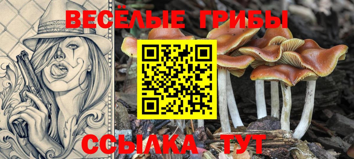Псилоцибиновые грибы ЛСД  Вход с VPN  Псилоцибиновые грибы мухоморы  Йошкар-Ола 